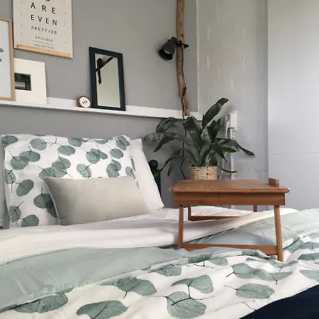 Outys No 31 Park Groenhart * Dirkshorn